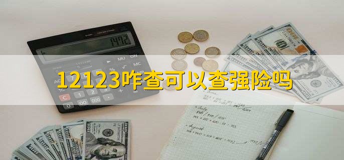 12123咋查可以查强险吗