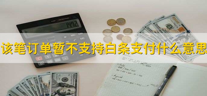 该笔订单暂不支持白条支付什么意思