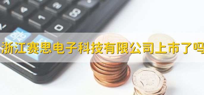 浙江赛思电子科技有限公司上市了吗