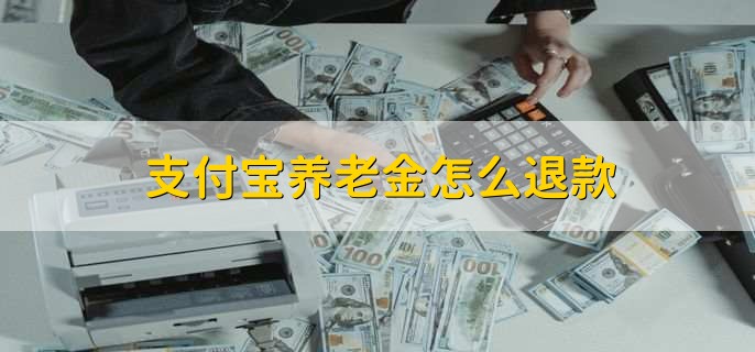 支付宝养老金怎么退款