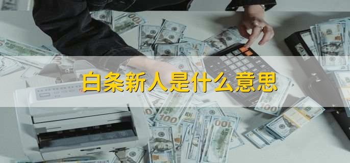 白条新人是什么意思