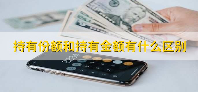 持有份额和持有金额有什么区别