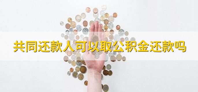 共同还款人可以取公积金还款吗