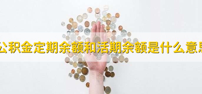 公积金定期余额和活期余额是什么意思