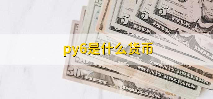 py6是什么货币