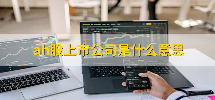 ah股上市公司是什么意思