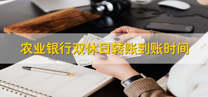 农业银行双休日转账到账时间