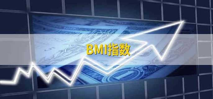 BMI指数