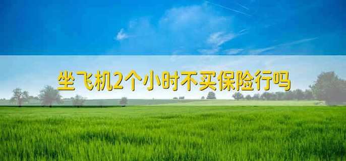 坐飞机2个小时不买保险行吗