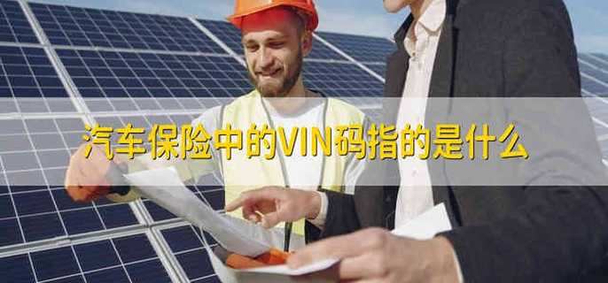 汽车保险中的VIN码指的是什么