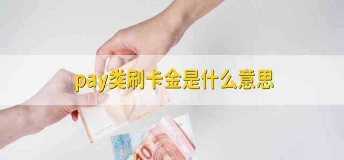 pay类刷卡金是什么意思