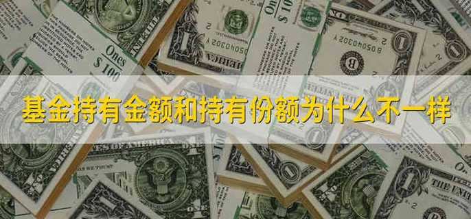 基金持有金额和持有份额为什么不一样