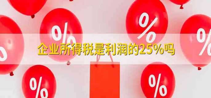 企业所得税是利润的25%吗