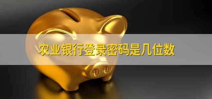 农业银行登录密码是几位数