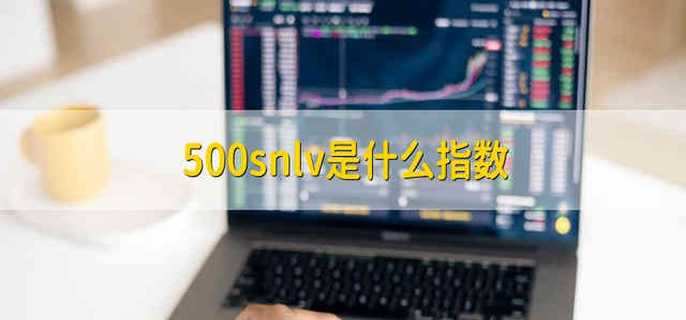 500snlv是什么指数