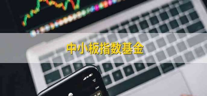 中小板指数基金