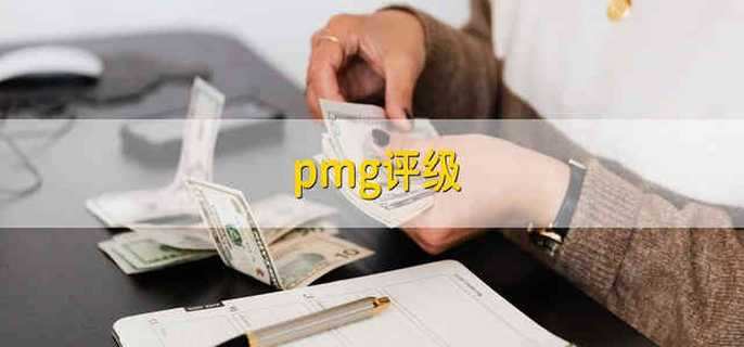 pmg评级