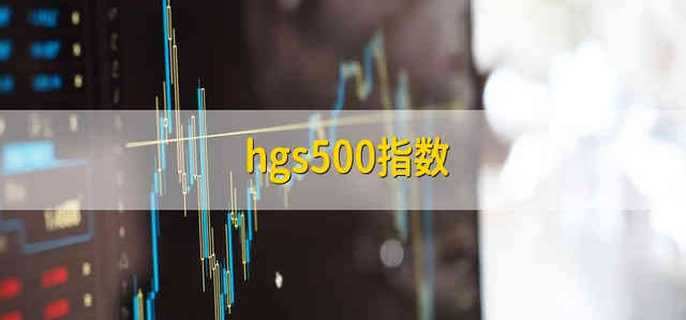 hgs500指数