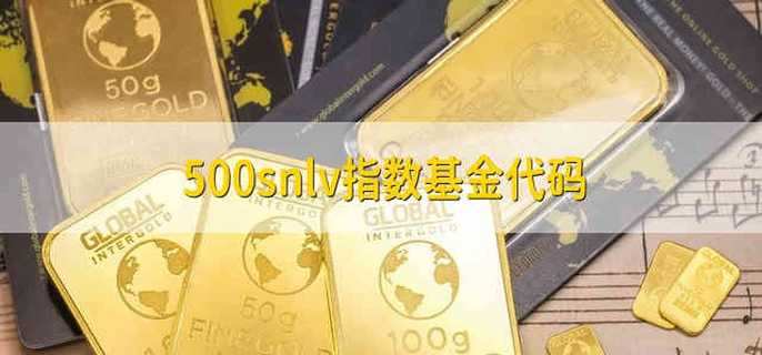 500snlv指数基金代码