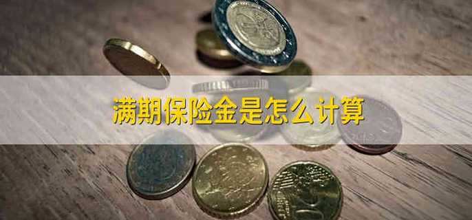 满期保险金是怎么计算