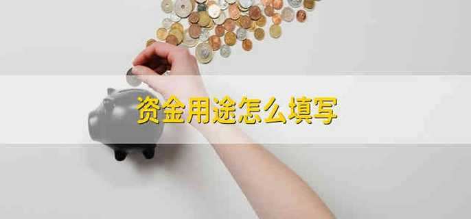 资金用途怎么填写