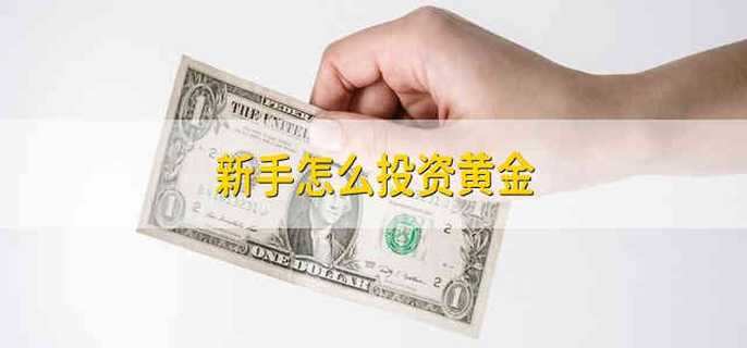 新手怎么投资黄金