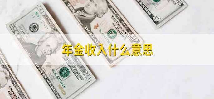 年金收入什么意思