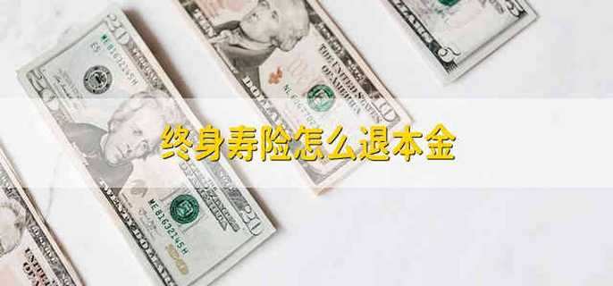 终身寿险怎么退本金