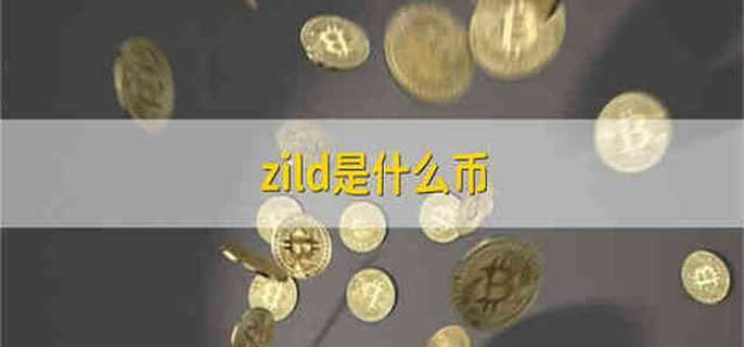 zild是什么币