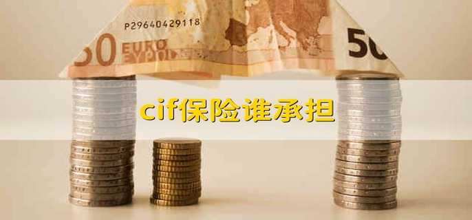 cif保险谁承担