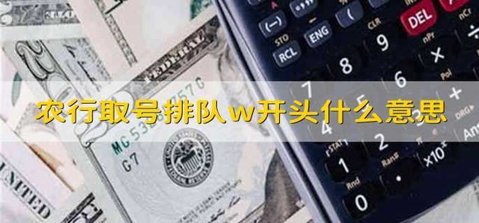 农行取号排队w开头什么意思