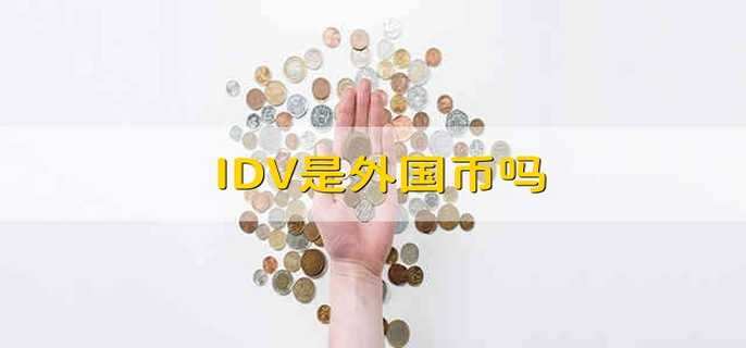 IDV是外国币吗