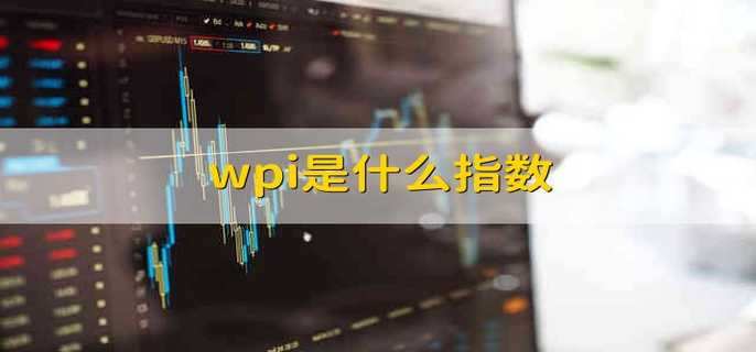 wpi是什么指数