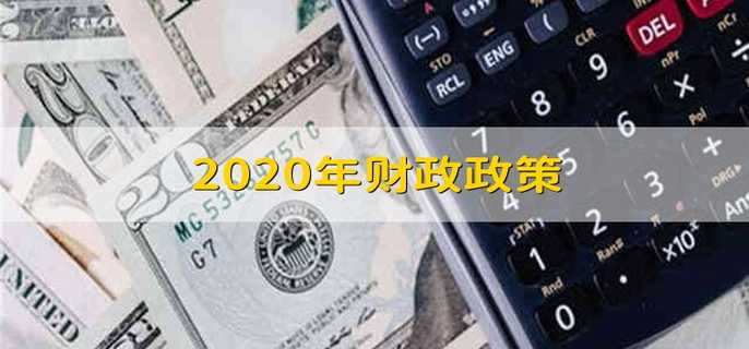 2020年财政政策