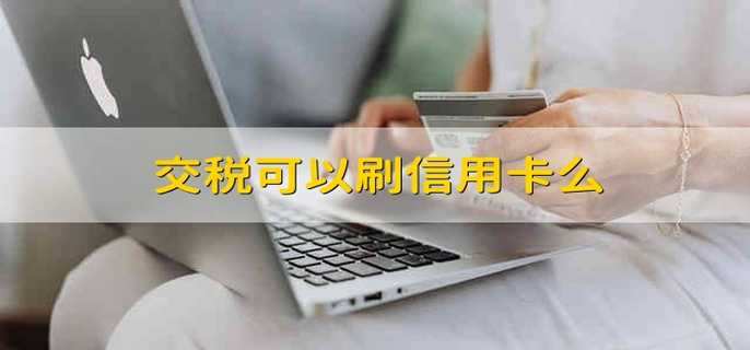 交税可以刷信用卡么