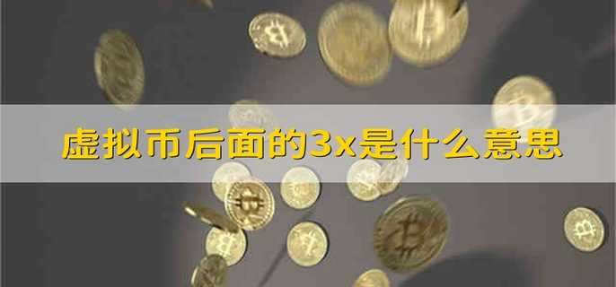 虚拟币后面的3x是什么意思