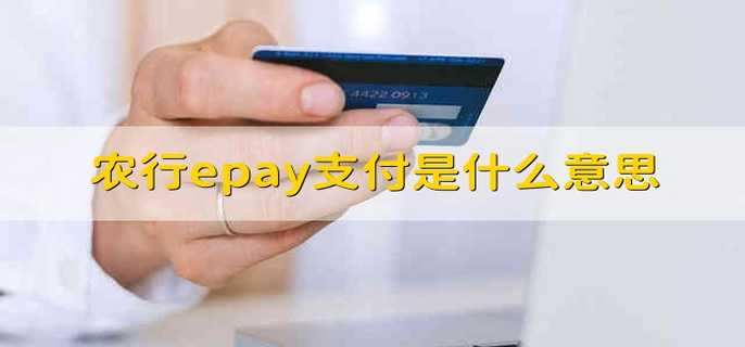 农行epay支付是什么意思