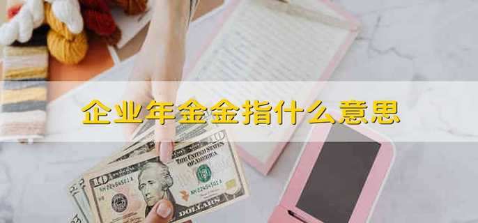 企业年金金指什么意思