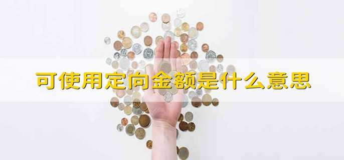 可使用定向金额是什么意思