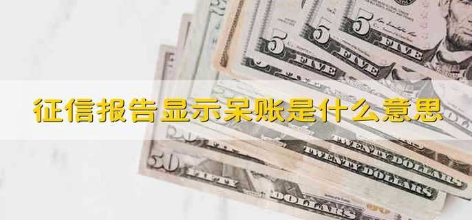 征信报告显示呆账是什么意思