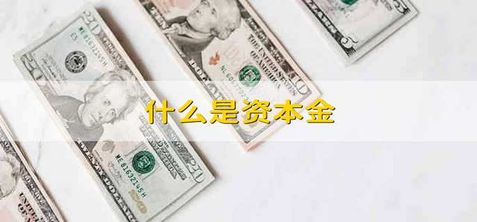 什么是资本金