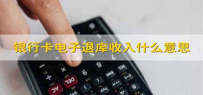 银行卡电子退库收入什么意思