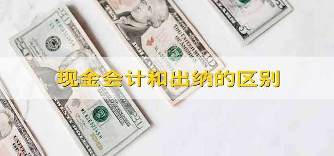 现金会计和出纳的区别