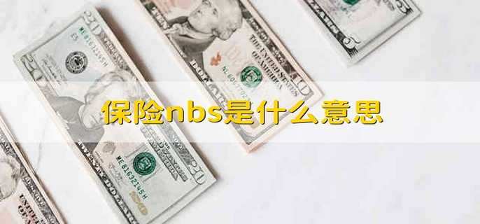 保险nbs是什么意思