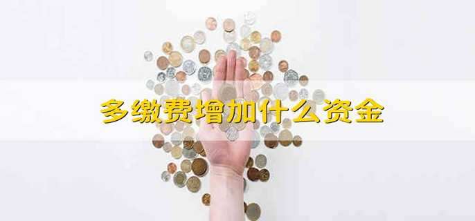 多缴费增加什么资金