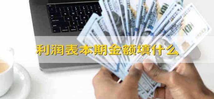 利润表本期金额填什么