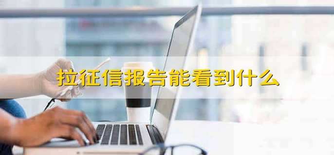 拉征信报告能看到什么