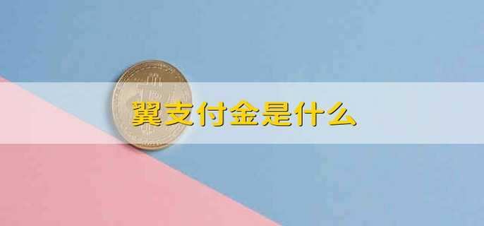 翼支付金是什么