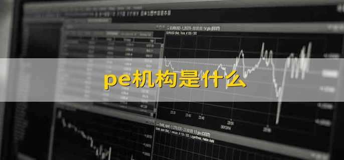 pe机构是什么