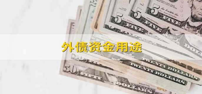 外债资金用途